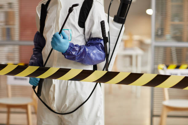 Professional Infectious Disease Decontamination technician working in Dorchester Center, MA